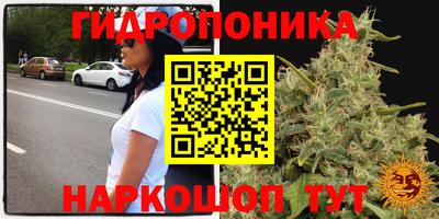 мяу мяу мука Гусь-Хрустальный
