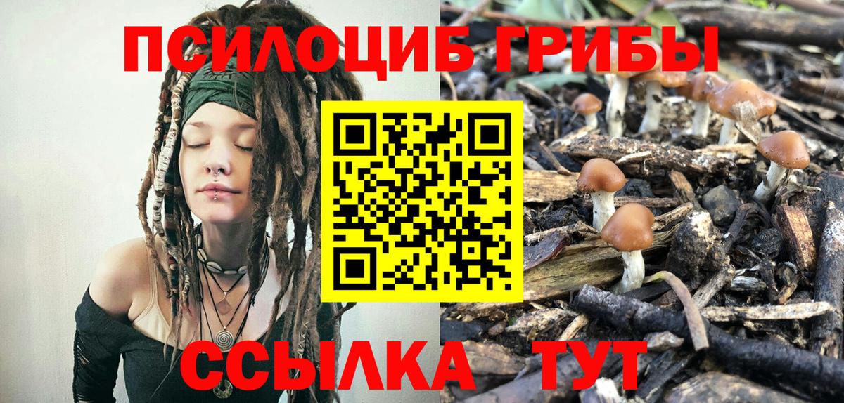 Галлюциногенные грибы мухоморы  Вход с VPN  Десногорск 
